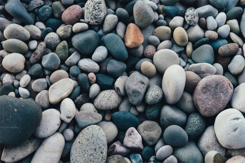 Quelle: pexels-scottwebb